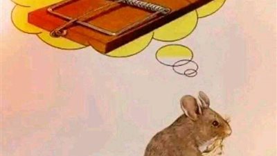 قصه وعبرة 