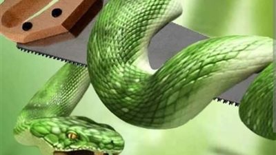 قصه وعبرة 