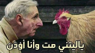 قصه المبادئ لا تتجزأ