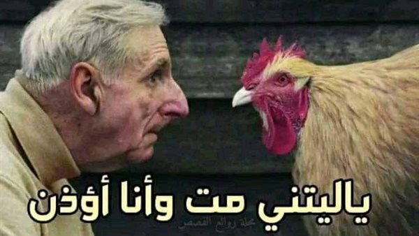 موقع أيام نيوز