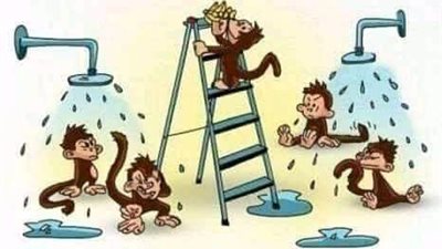 قصه نظرية القرود الخمسة 