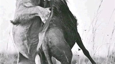قصه وعبرة 