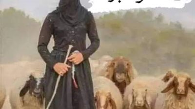 قصه وعبرة 