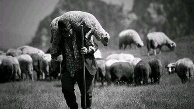 قصه الرزق الحلال 
