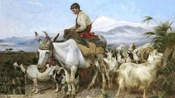 موقع أيام نيوز